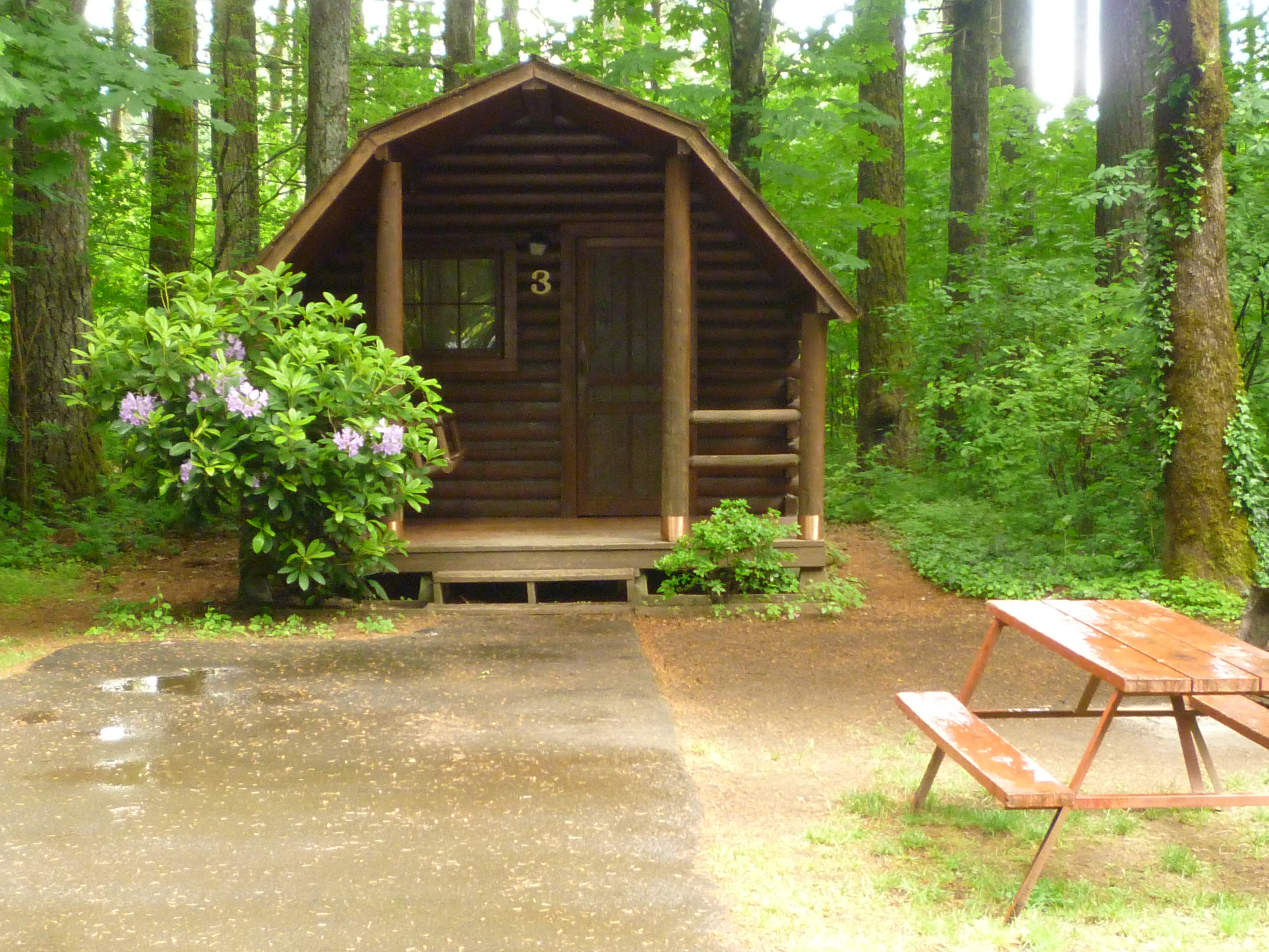 1 Room Camping Cabin