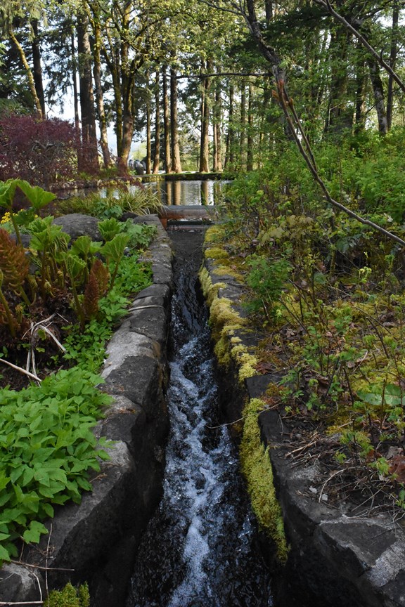 Beautiful Grounds