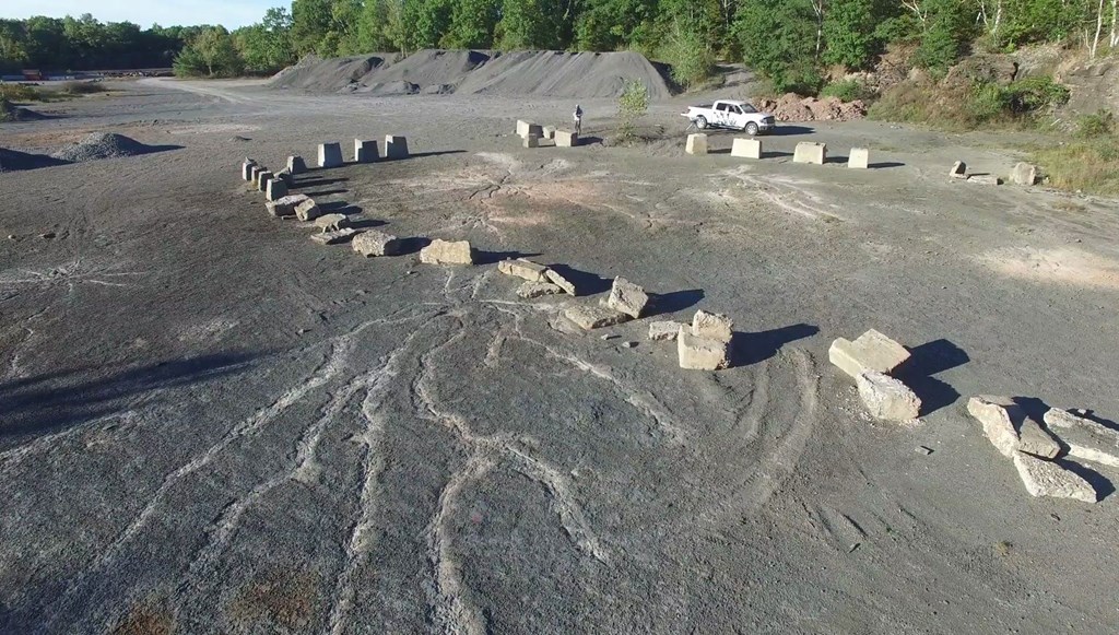 One of the Earths OLDEST known fossil forests is in Gilboa!!
