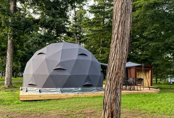 Paradise in the woods