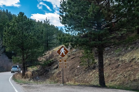 Southern Oregon Bigfoot Experience