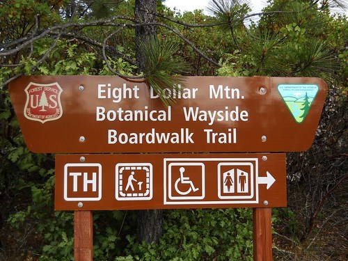 Eight Dollar Mountain Botanical Area / Wild and Scenic Illinois River Corridor