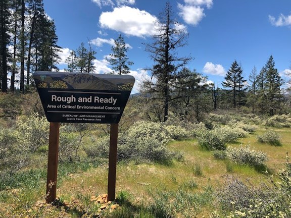 Rough and Ready Botanical Wayside