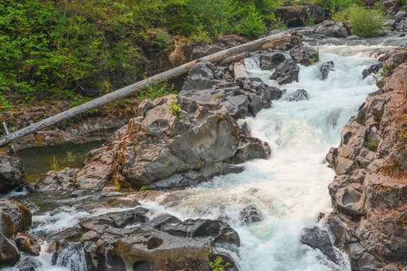 Rogue National Wild and Scenic River