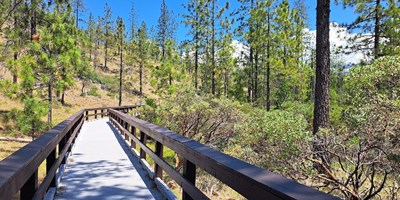 A 3-Day Hiking Itinerary Around Cave Junction, Oregon