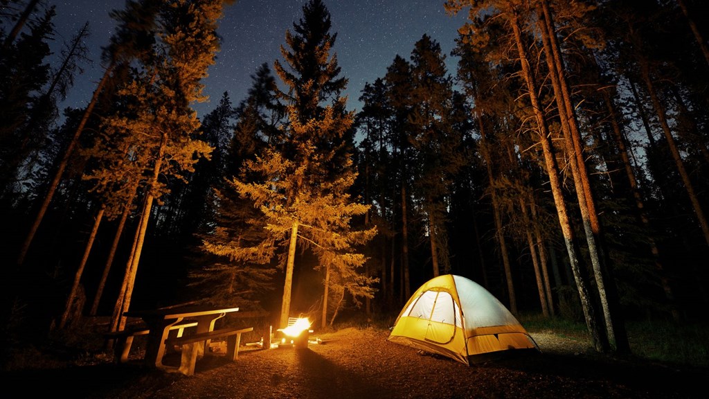 Seize the Serenity: The Perks of Booking Early