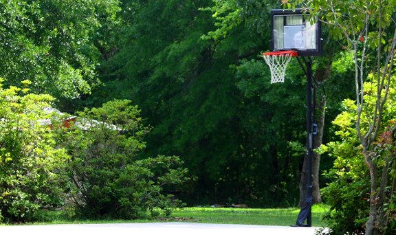Basketball