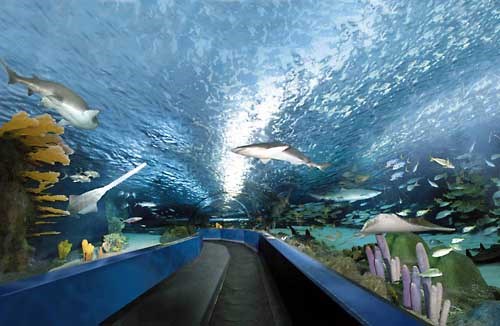 South Carolina Aquarium