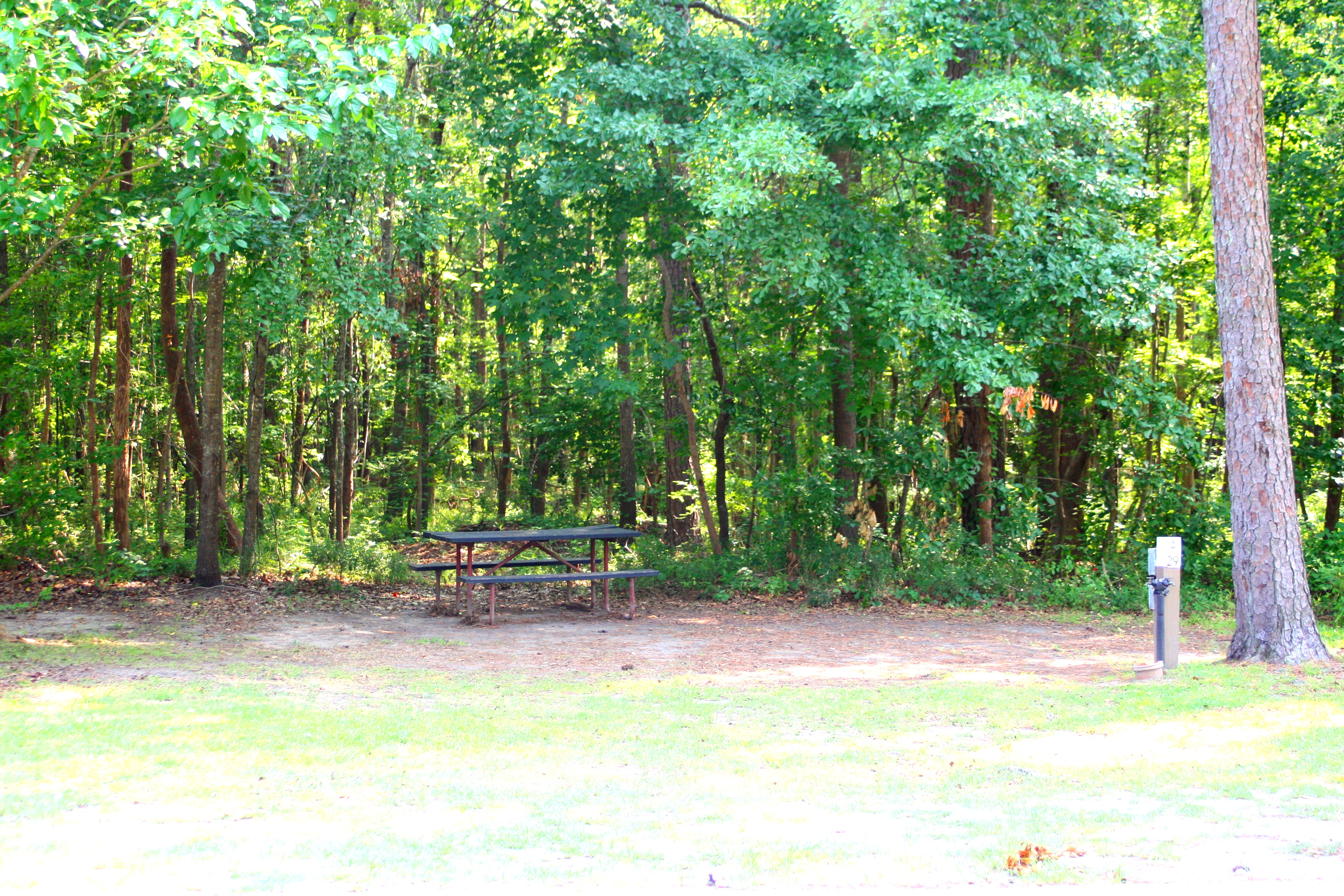 Tent Site