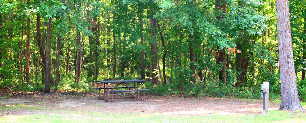Tent Site