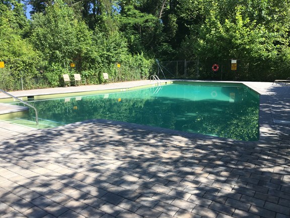 Extra large swimming pool