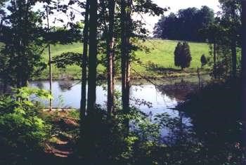 Nature trail/Pond
