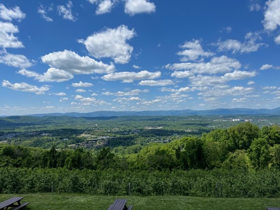 Carter Mountain Orchard