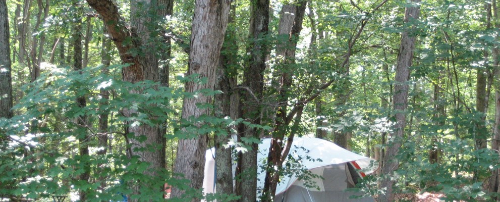 Primitive Tent Site