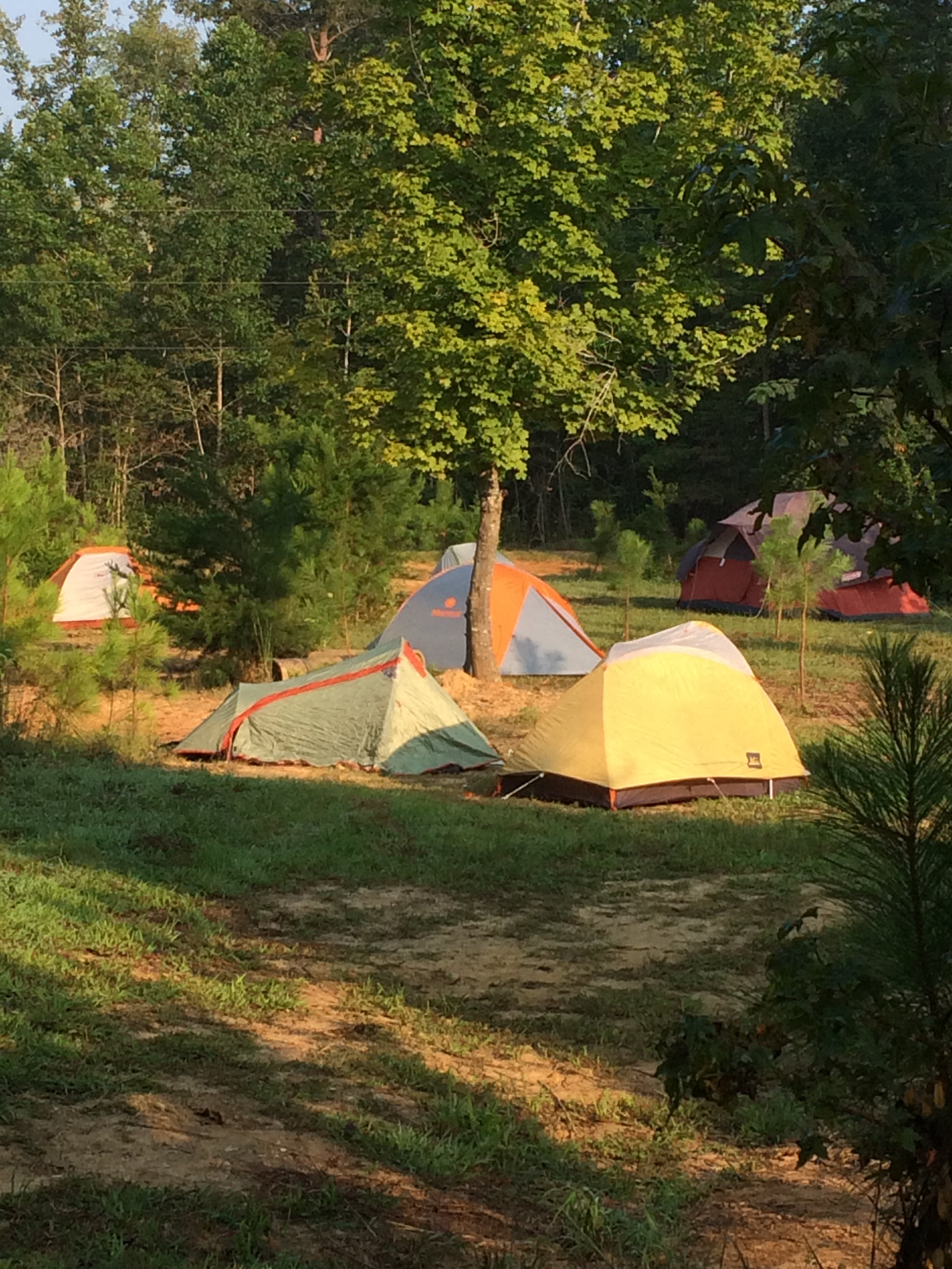 Primitive Tenting