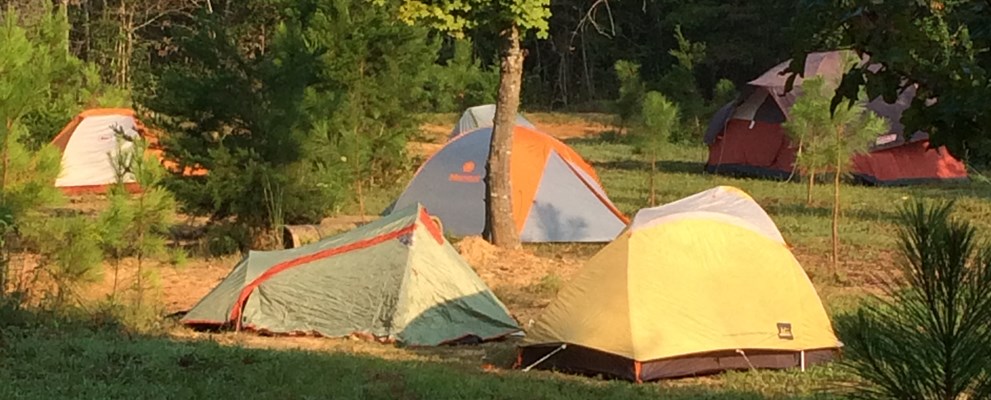 Primitive Tenting