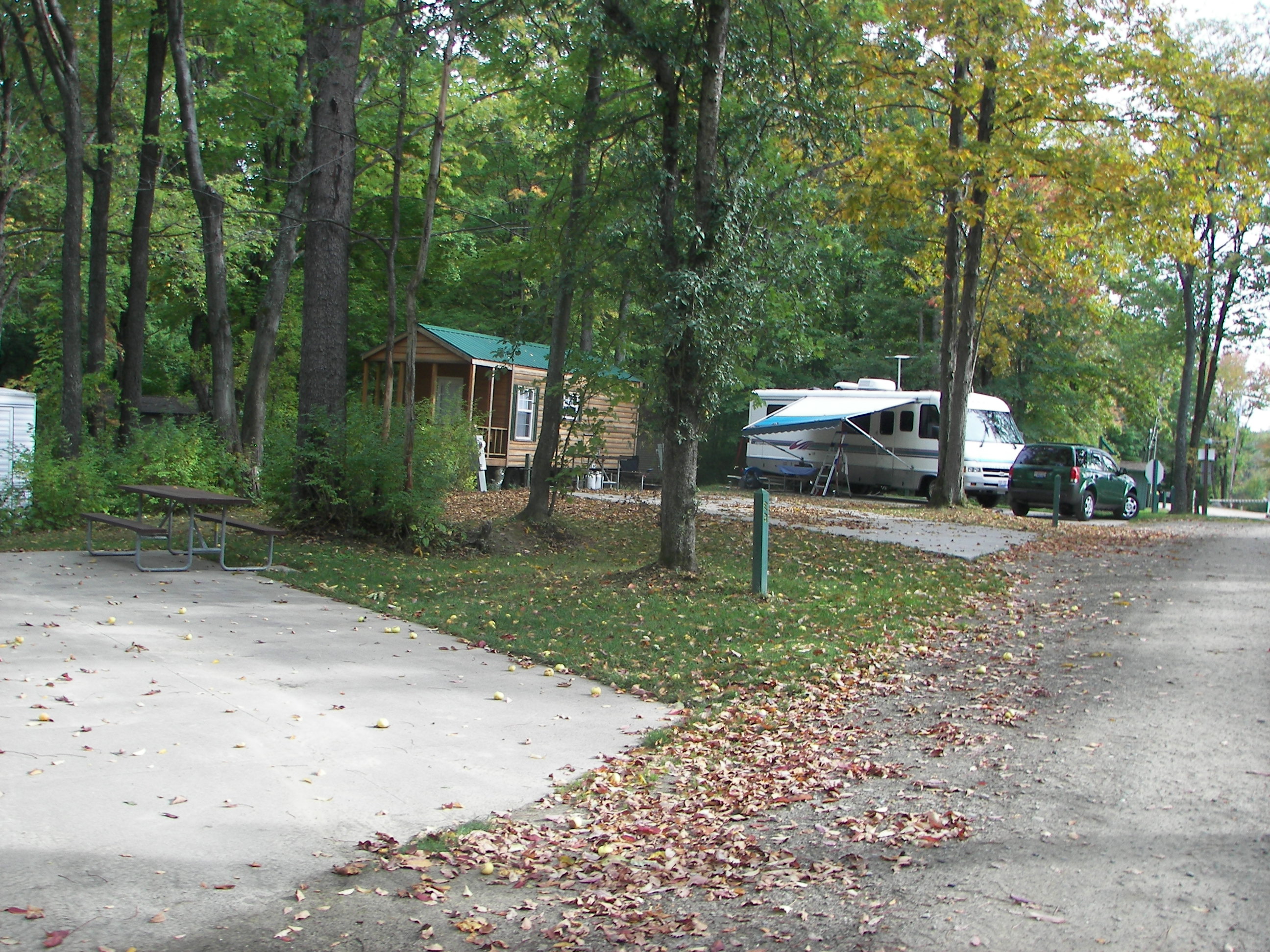 back  in  concrete pad