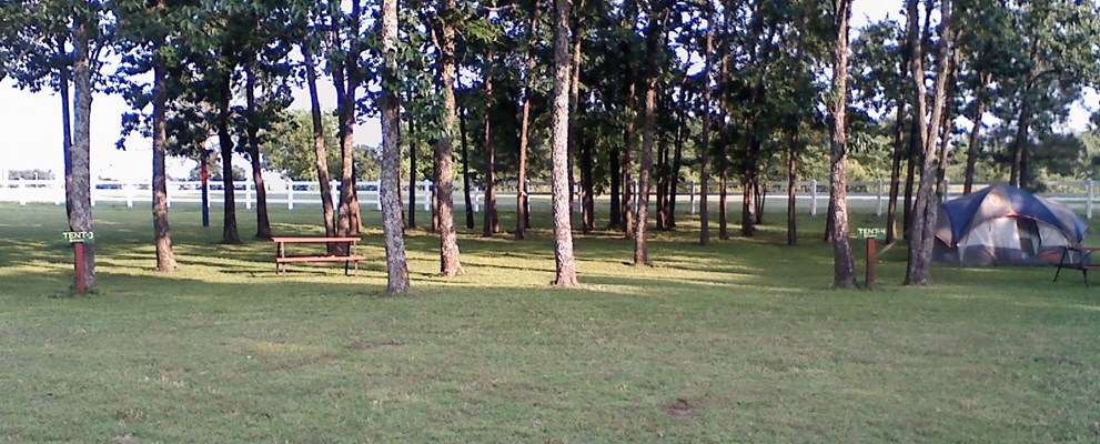 Primitive Tent Site