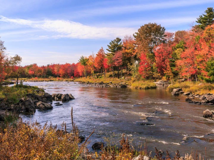 KOA's Guide For The Best Fall Foliage