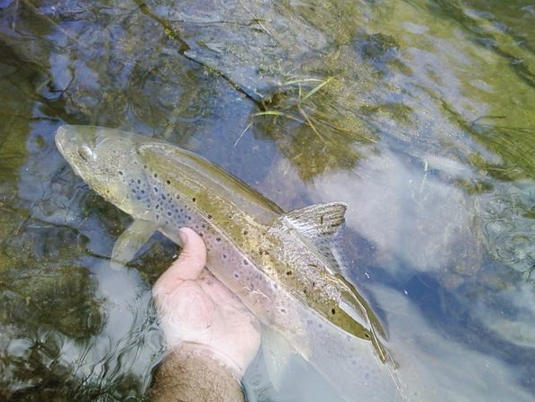 Cherokee Fishing Tournaments