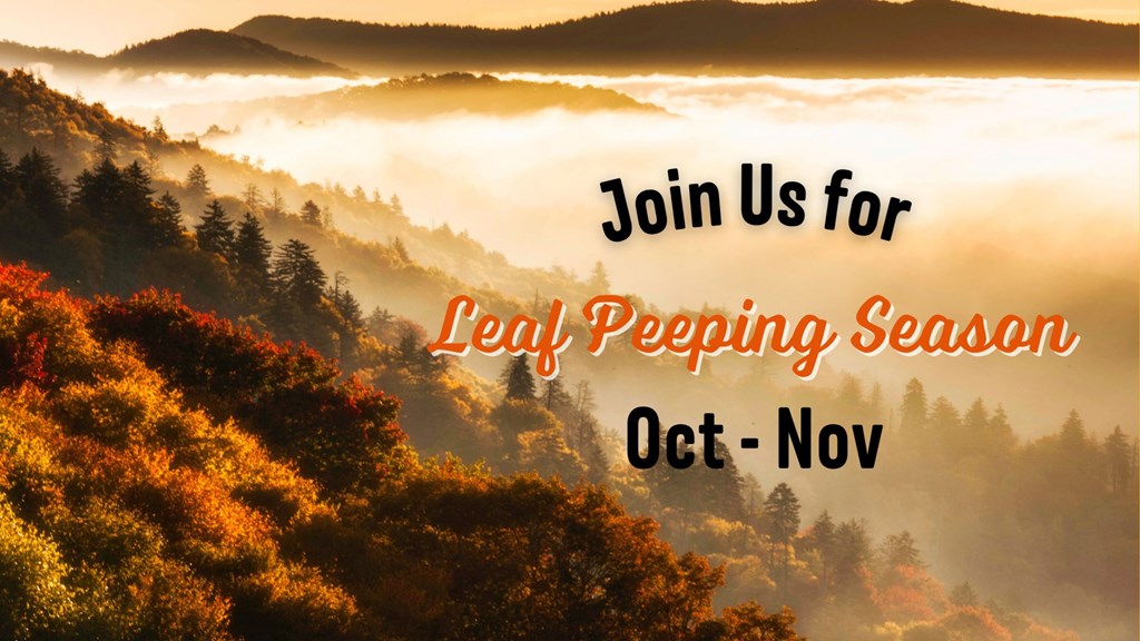 The Ultimate Guide to Leaf Peeping in Cherokee, NC