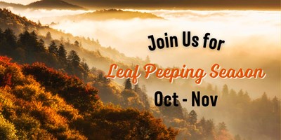 The Ultimate Guide to Leaf Peeping in Cherokee, NC