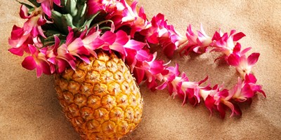 Hawaiian Party Weekend