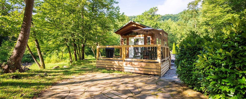 DC226 - Deluxe Cabin, 2 Room with Loft, River