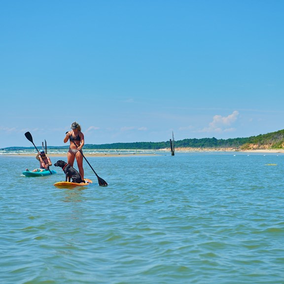 Paddleboard & Kayak Rentals