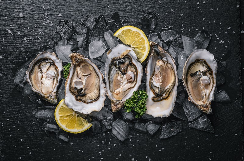 Oyster Festival Photo