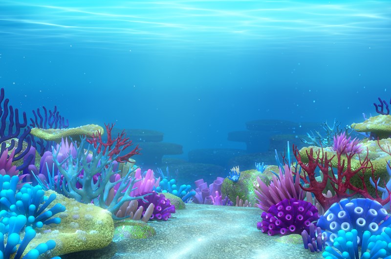 Under the Sea Week Photo