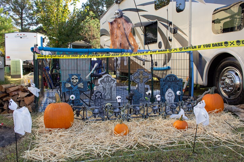 Tricks Before Treats Photo