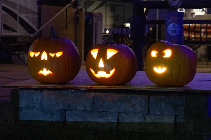 Creeping into October Photo