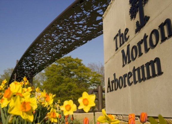 The Morton Arburetum