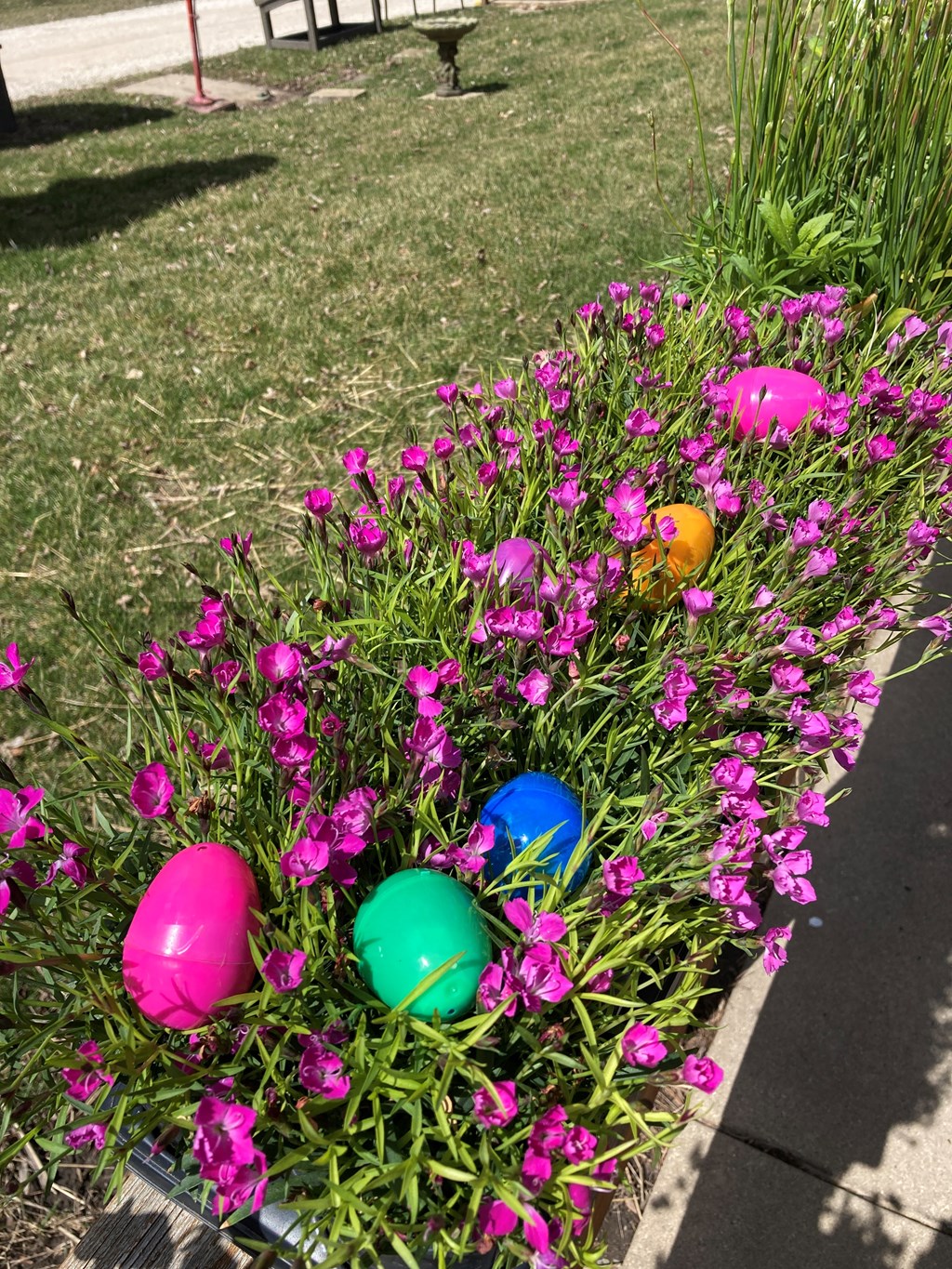 Spring is in the Air!