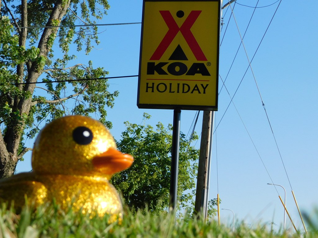 Rubber Duck Derby!