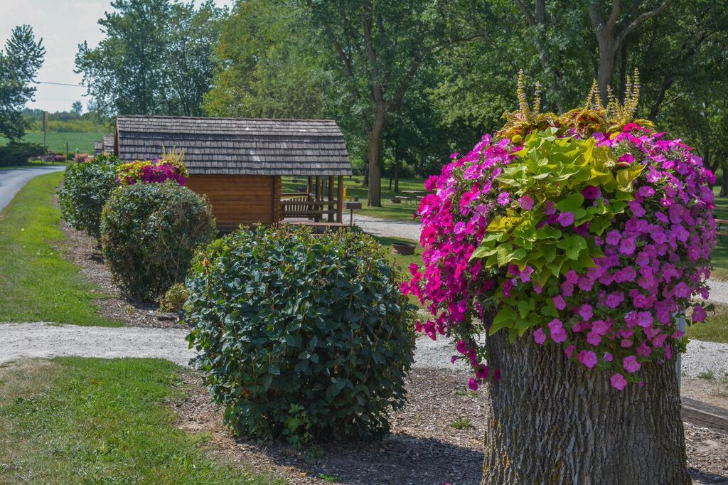 Beautiful flowers everywhere!