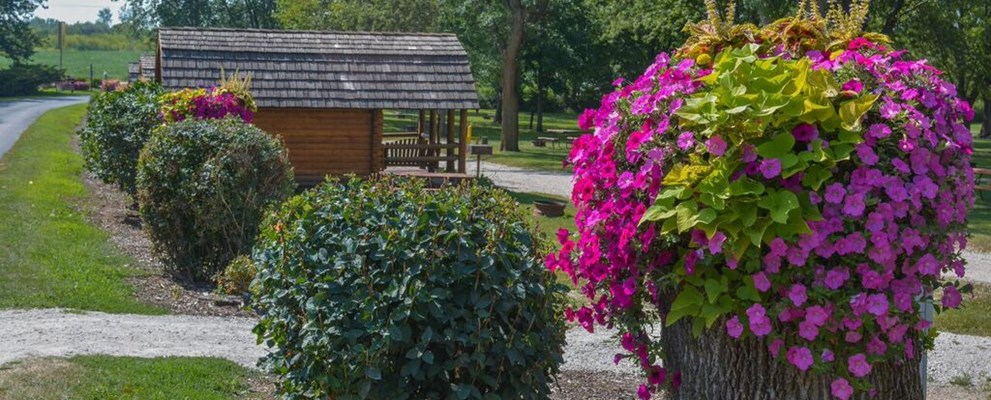 Beautiful flowers everywhere!