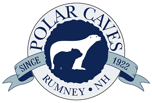 Polar Caves
