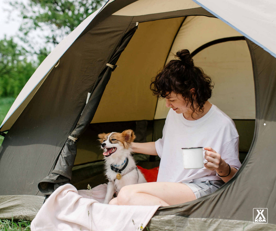 Adventures for your Furry Family!