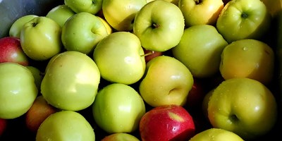 Apple Fest Weekend
