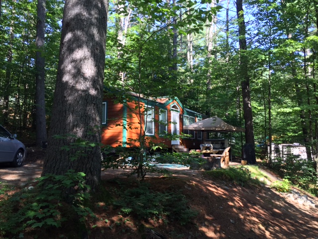 Hawk's Nest