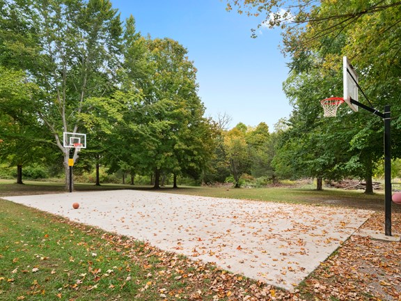 Basketball Court