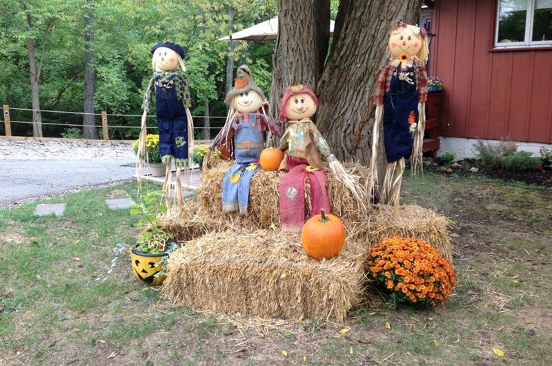 Halloween Weekends Photo
