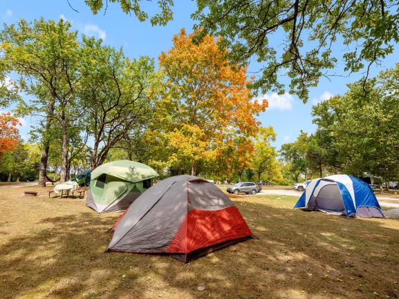 Tent site, Grassy area with electric
