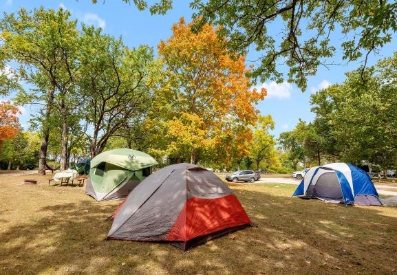 Tent site, Grassy area with electric