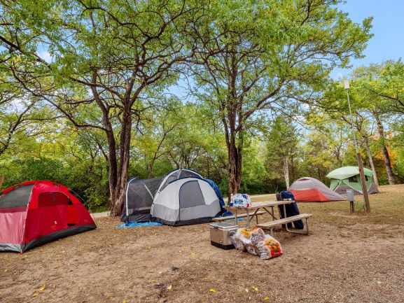 Tent site, Grassy area with electric