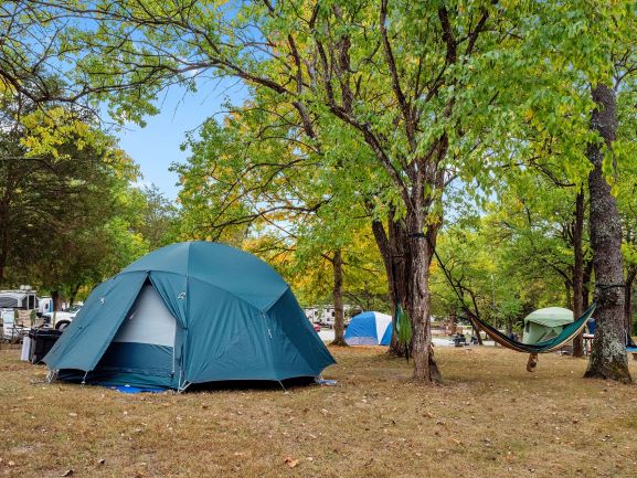 Tent site, Grassy area with electric