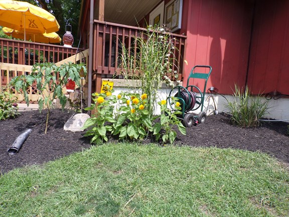 Welcome to the Lebanon / Cincinnati NE KOA
