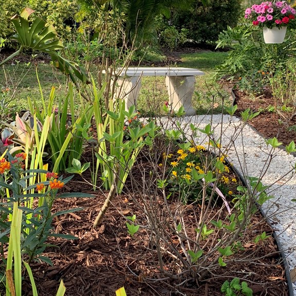 Butterfly Garden